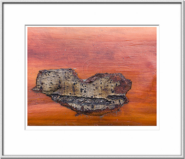 Image ID: 100-165-5 : Orange Driftwood 